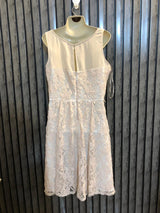 Chest 22  Length 38  Fabric Net Party Wear Mini Dress