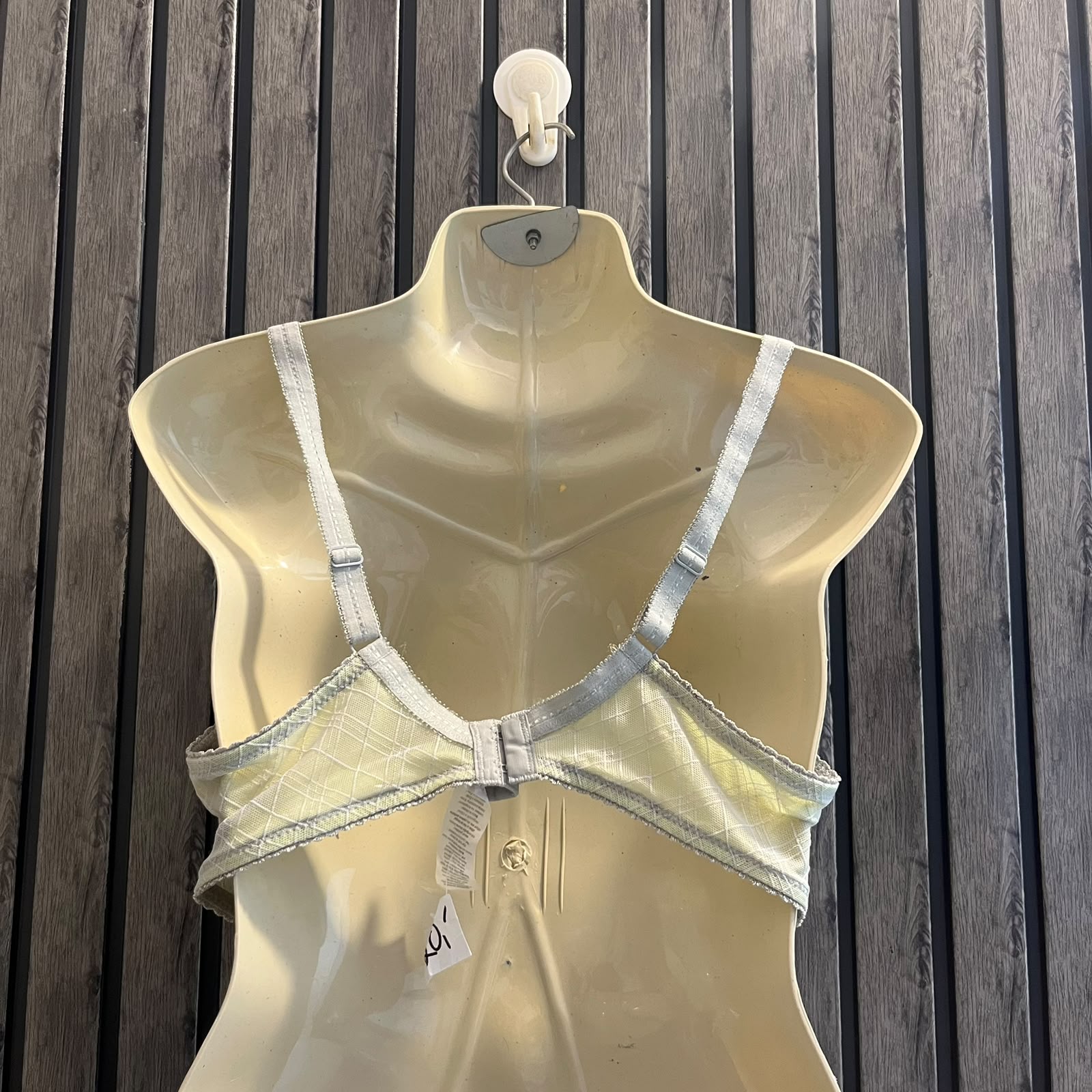 Chest Large  Length 12 Women’s Premium Bra
