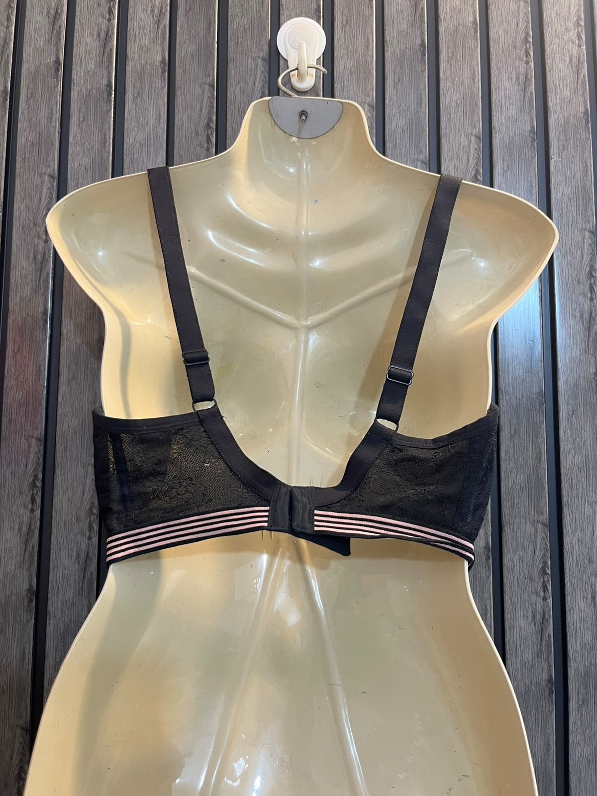 Chest Large  Length 12 Women’s Elegant Bra