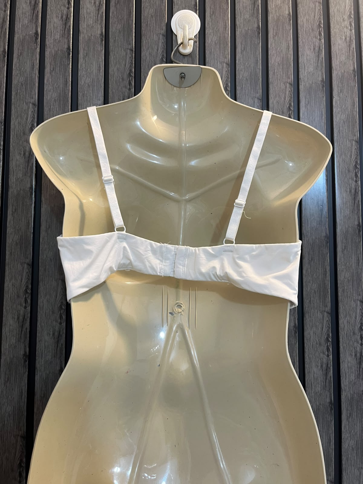 Chest Large  Length 11 Women’s Modern Collection Bra