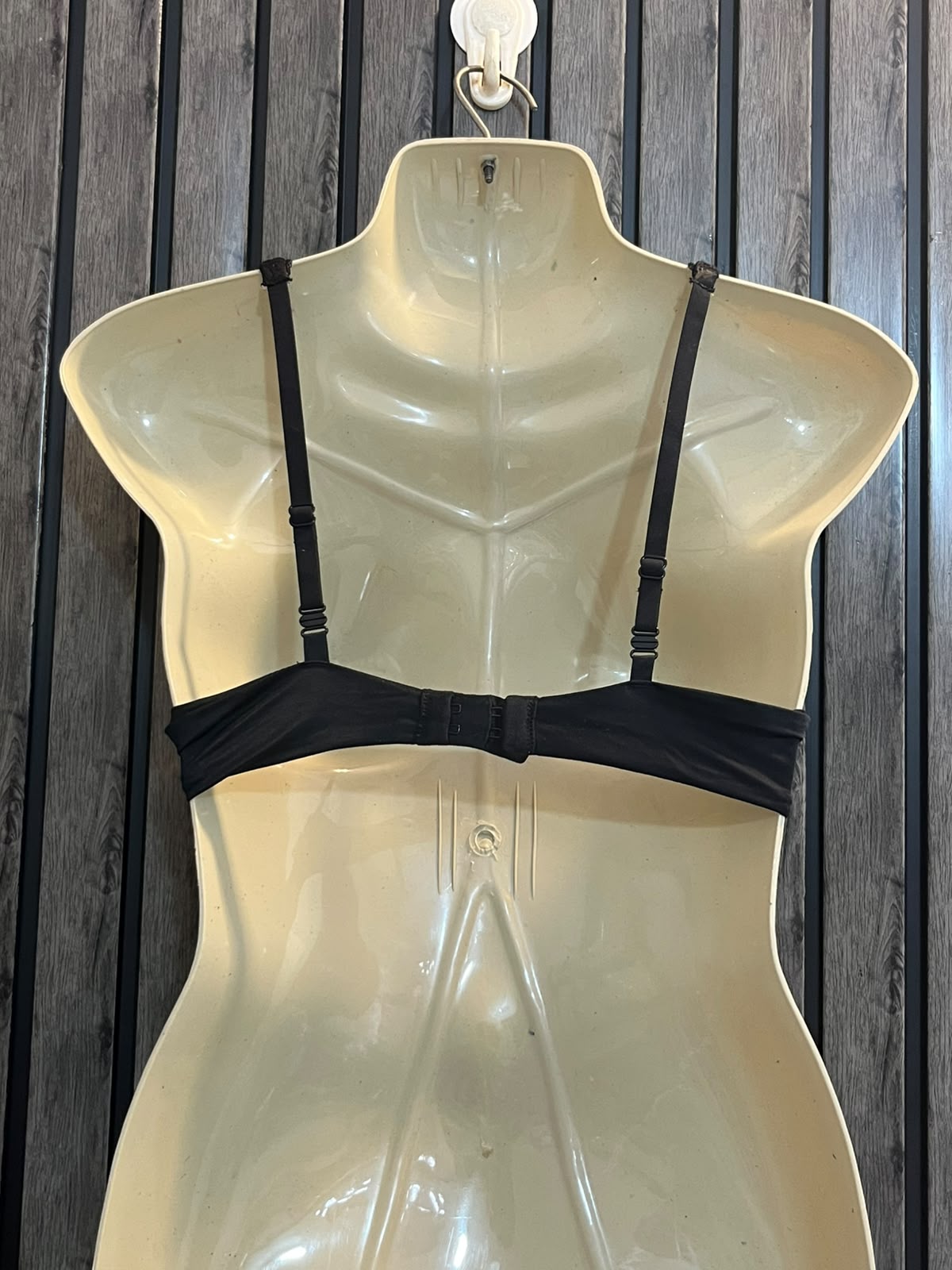 Chest Medium  Length 10 Women’s Classic Everyday Bra