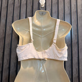 Chest Large  Lenght 12 Elegant Bra Collection