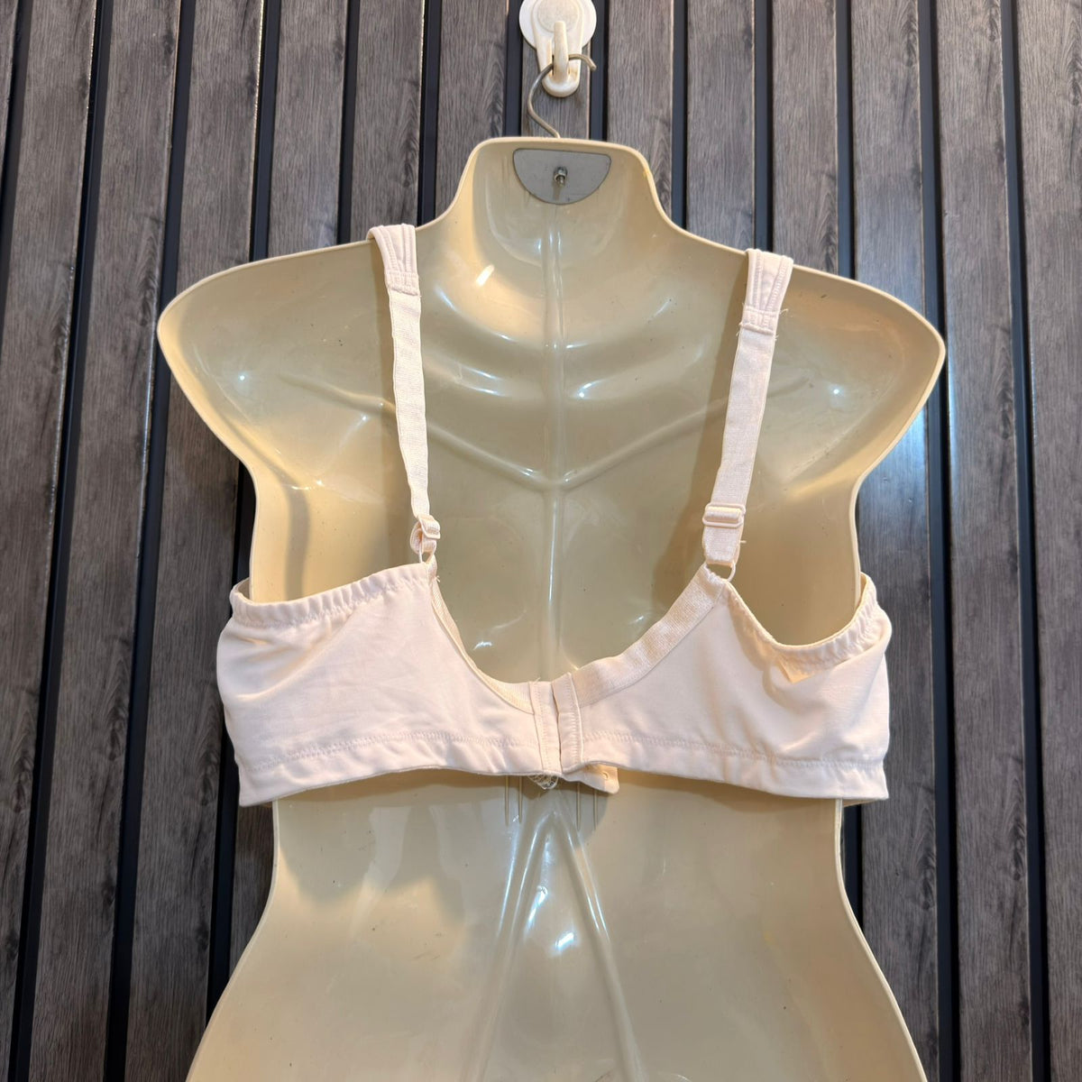 Chest Large  Lenght 12 Elegant Bra Collection