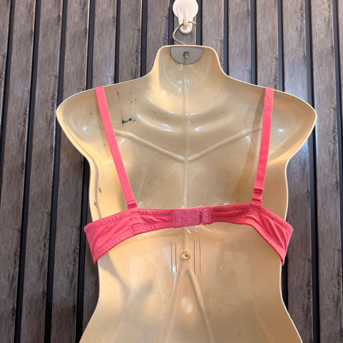 Chest Large  Lenght 12  Women’s Bra Choice