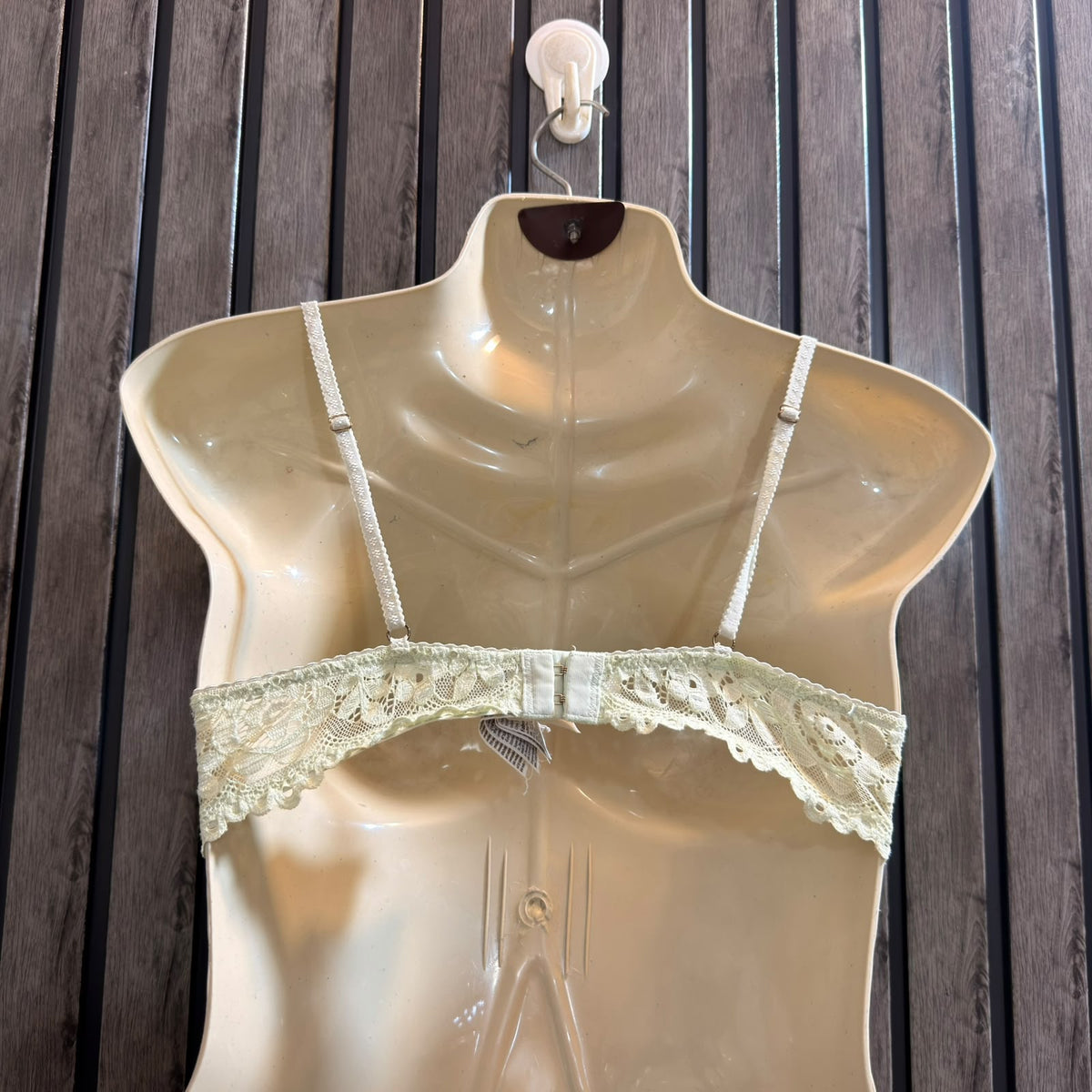 Chest Medium Women’s Seasonal Bra Collection