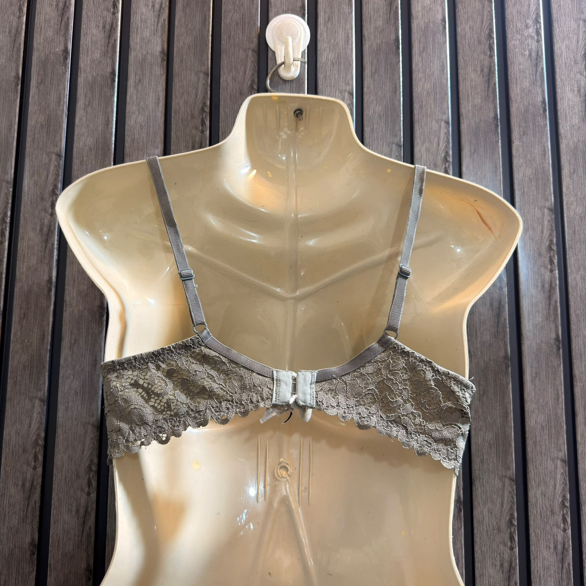 Chest Medium Women’s Designer Bra Collection