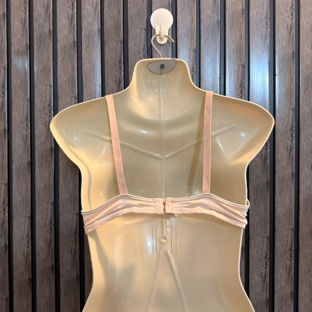 Chest Medium Designer Women’s Bra