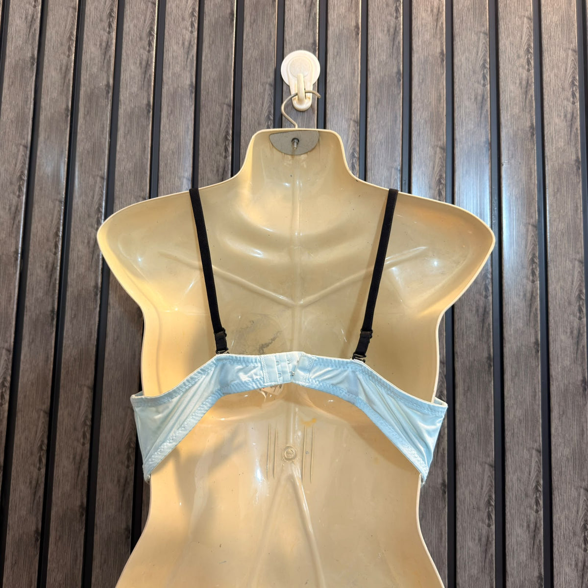 Chest Large Western Women’s Bra Collection