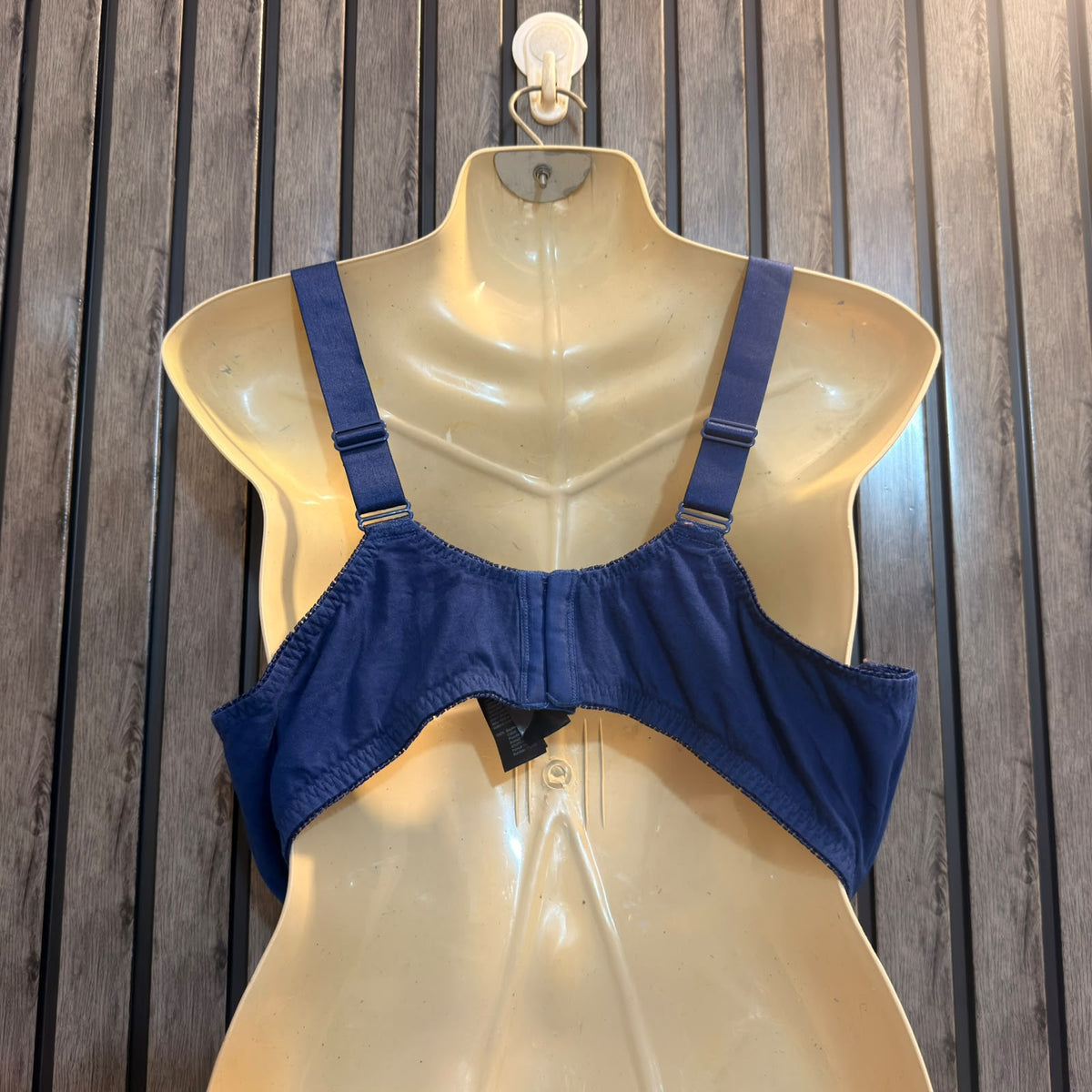 Elegant Ladies Innerwear bra Collection